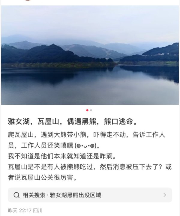雅休配资 四川瓦屋山一游客称路遇黑熊，景区回应：夜间“熊出没”较多，白天很少见