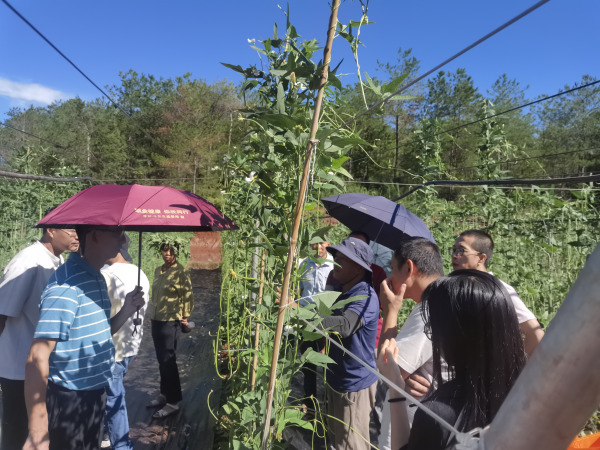 星火配资 院地联合、农技下乡，为镇域农业高质量发展注入科技动能